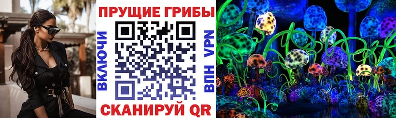 Купить  Кувшиново  Галлюциногенные грибы ЛСД 